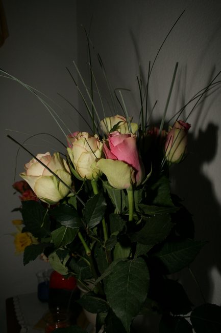 img_0000.jpg