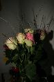 img_0000.jpg