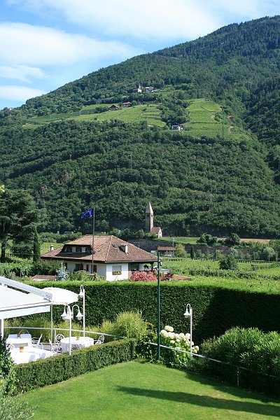 IMG 0059