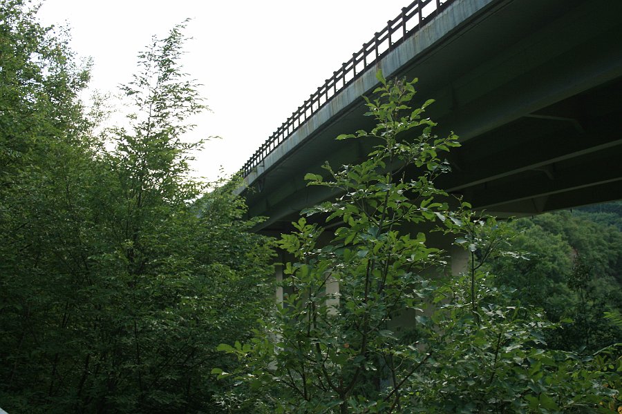 IMG 0113