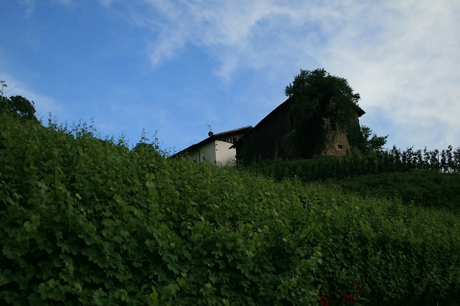 IMG 0117